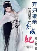  貪財寶寶：棄婦孃親熬成妃